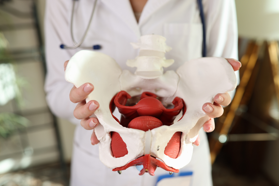 The pelvic floor can be affected by a number of different issues.