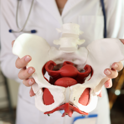 The pelvic floor can be affected by a number of different issues.